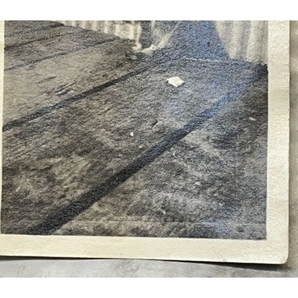 Vintage Raccoon Found Photo B&W Snapshot Chained Up on Leash Sitting on Porch - Picture 7 of 7